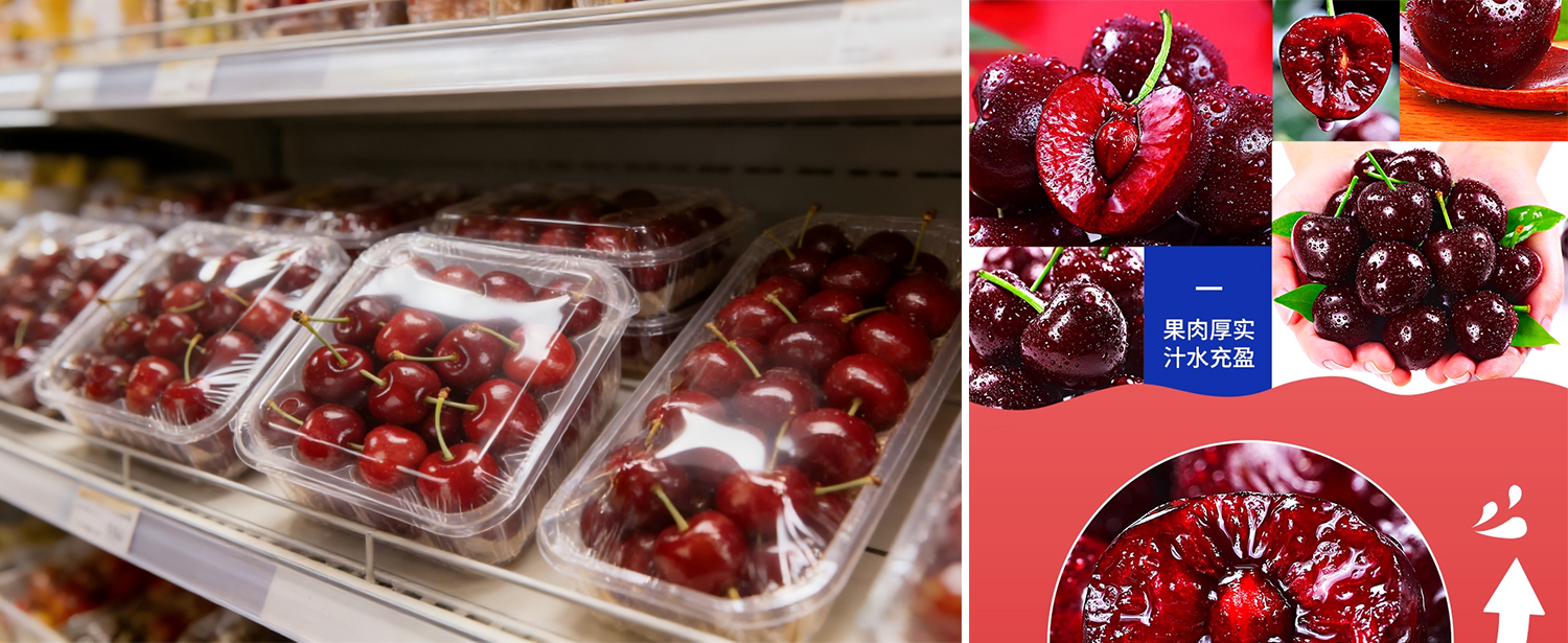 Sichuan Cherries Adopt