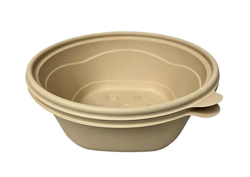 Biodegradable Disposable Food Containers
